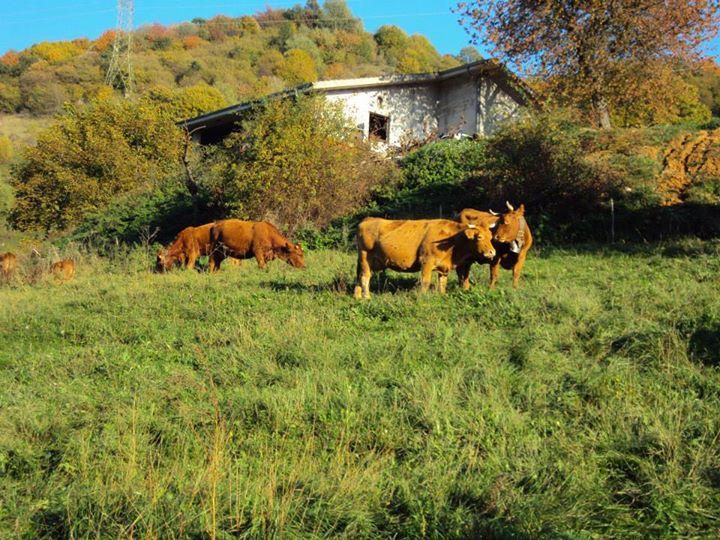 Agriturismo La Part San Zeno di Montagna Exterior foto